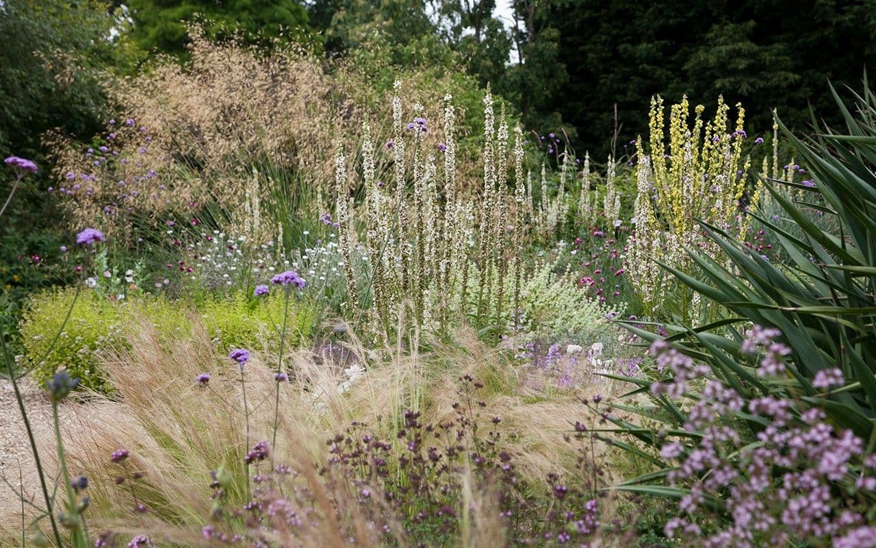 Dry Garden inspiration