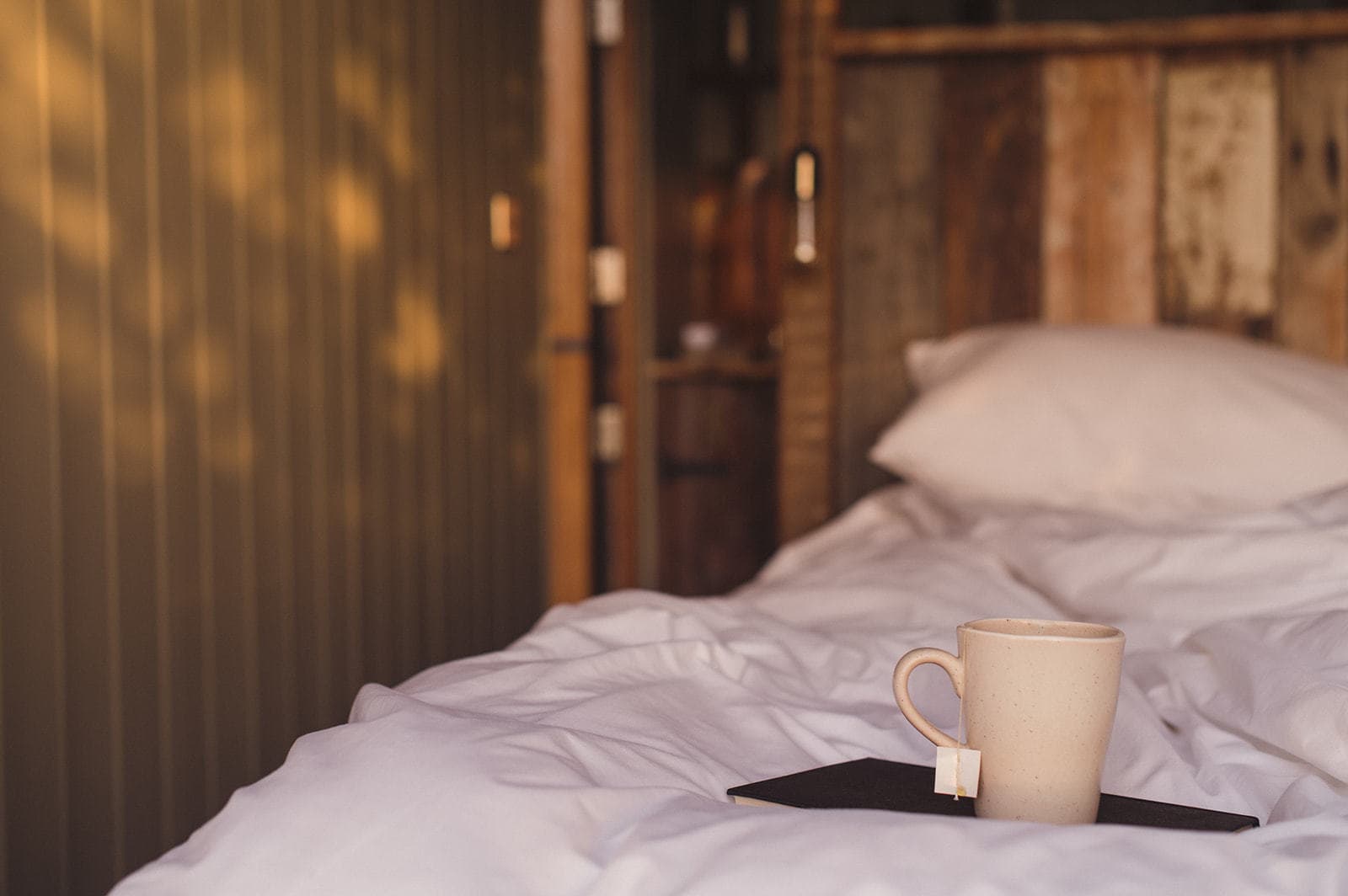 morning at saltbox