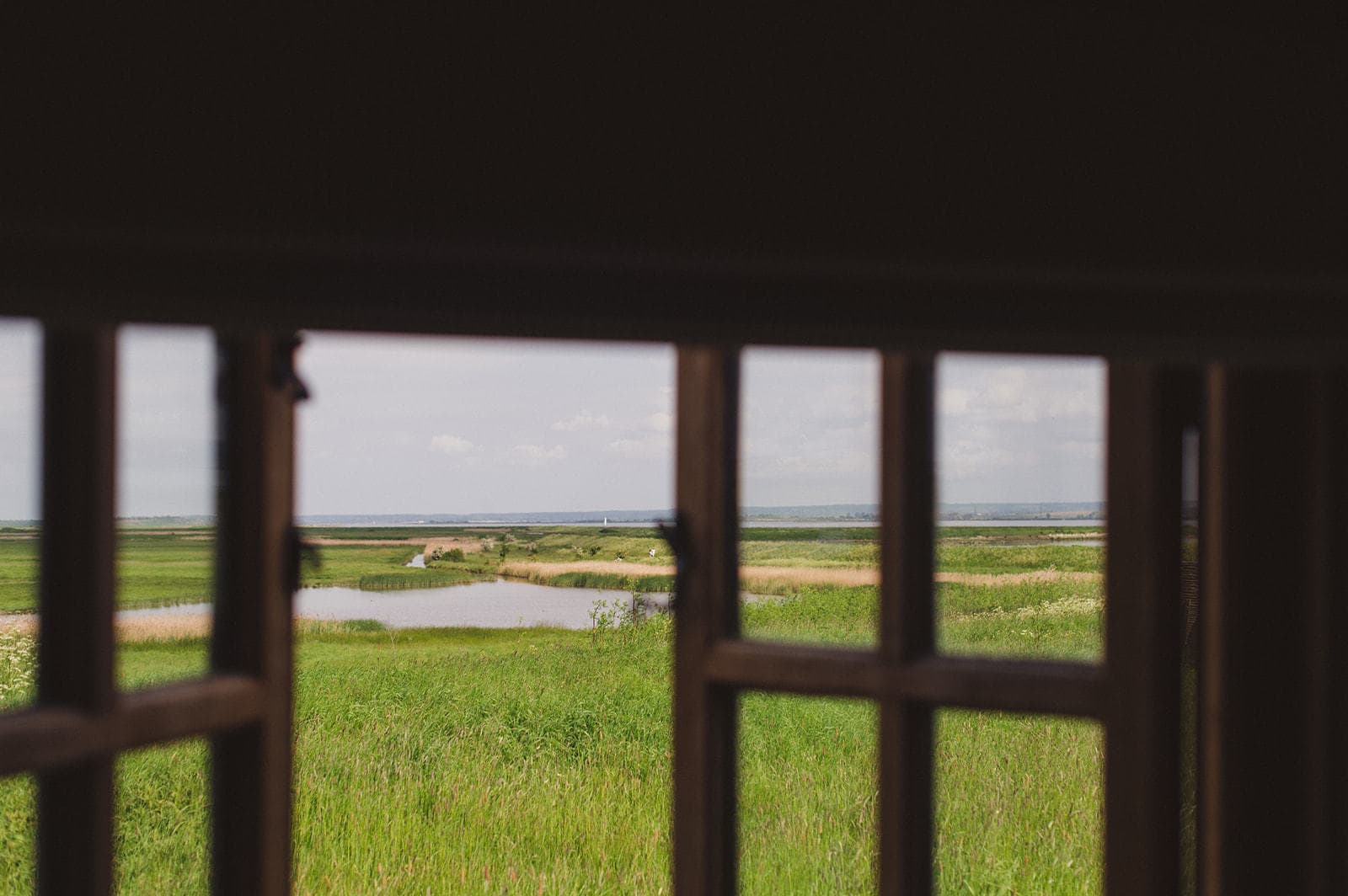 view from Little Owl Shepherd's hut