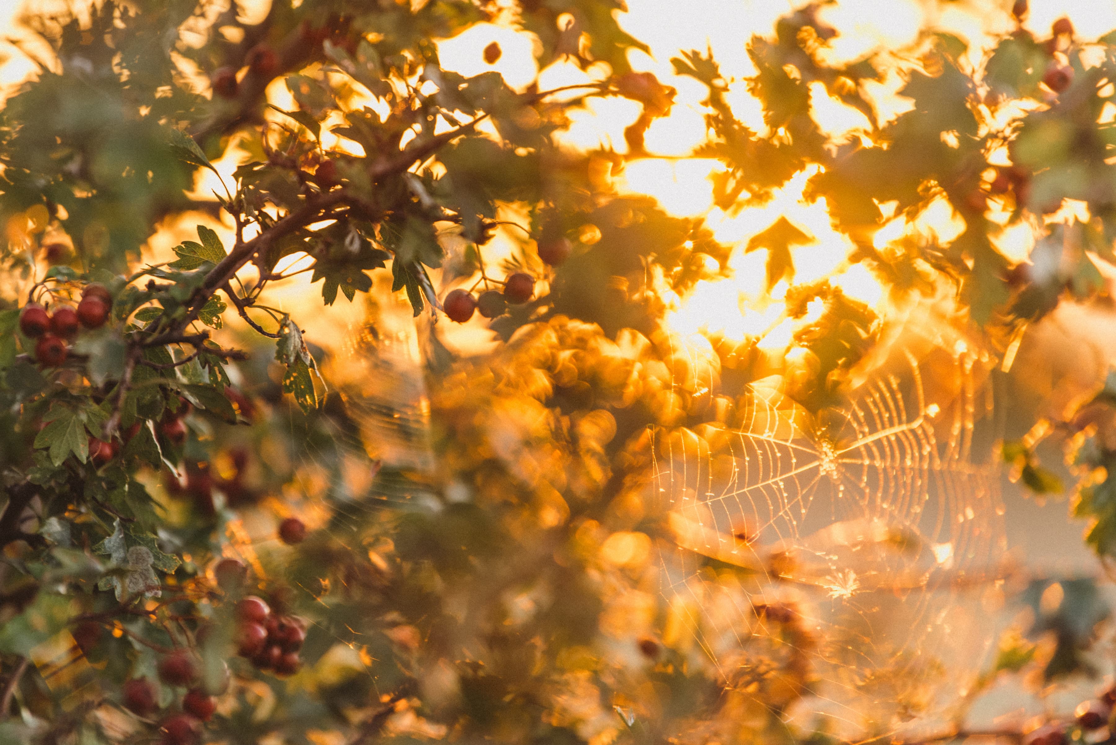 September at Elmley