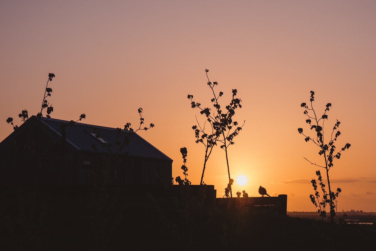 ferryman's hut exterior at dawn