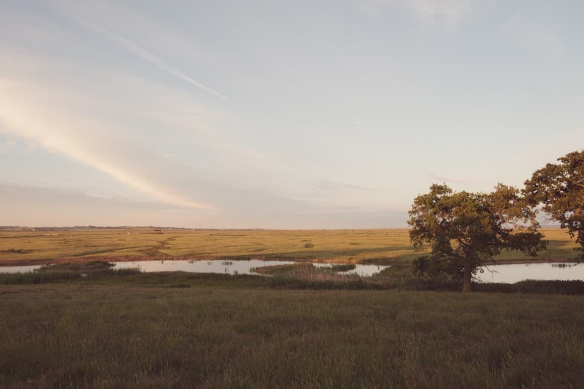 Elmley Nature Reserve Sunset