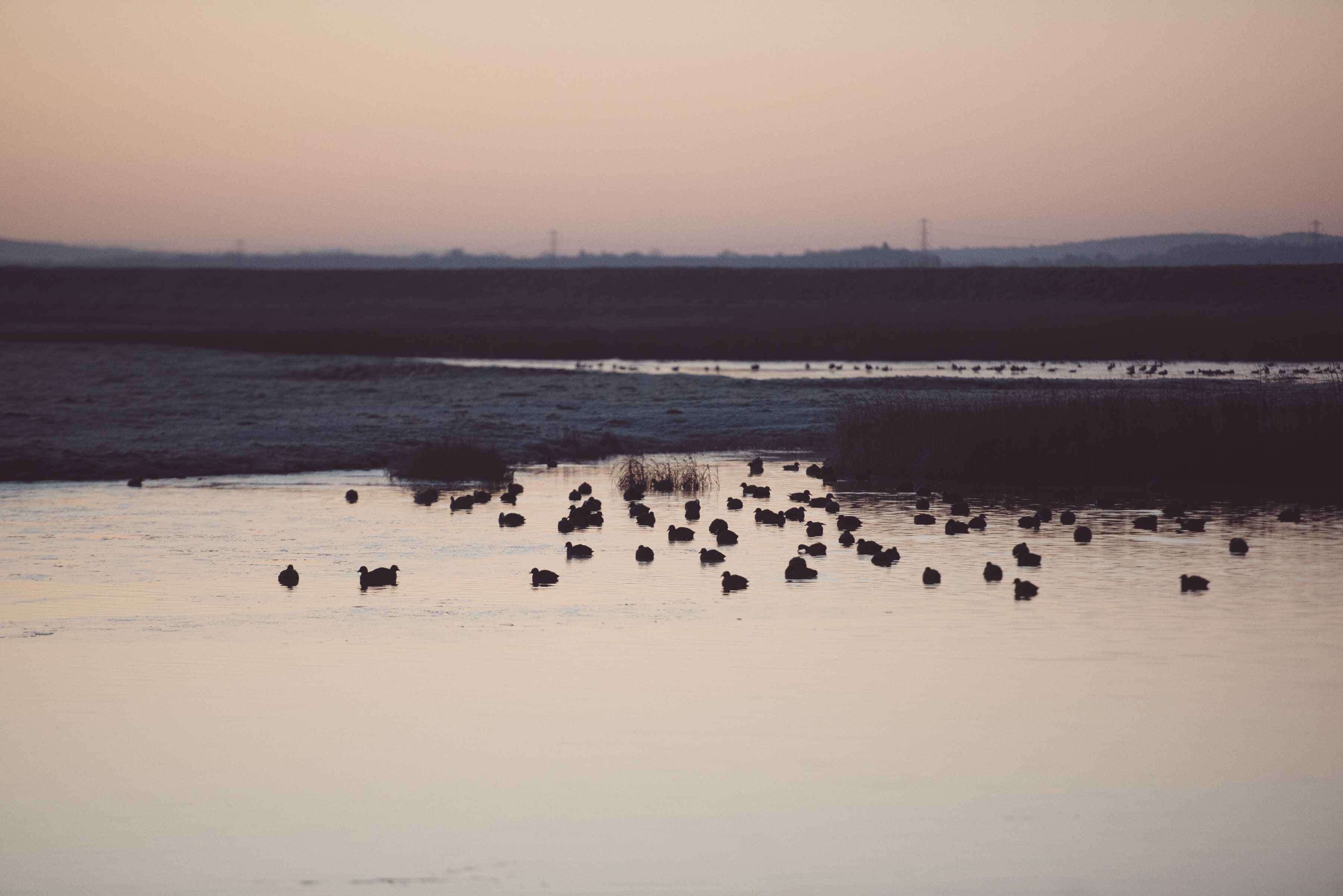 winter sunrise at elmley