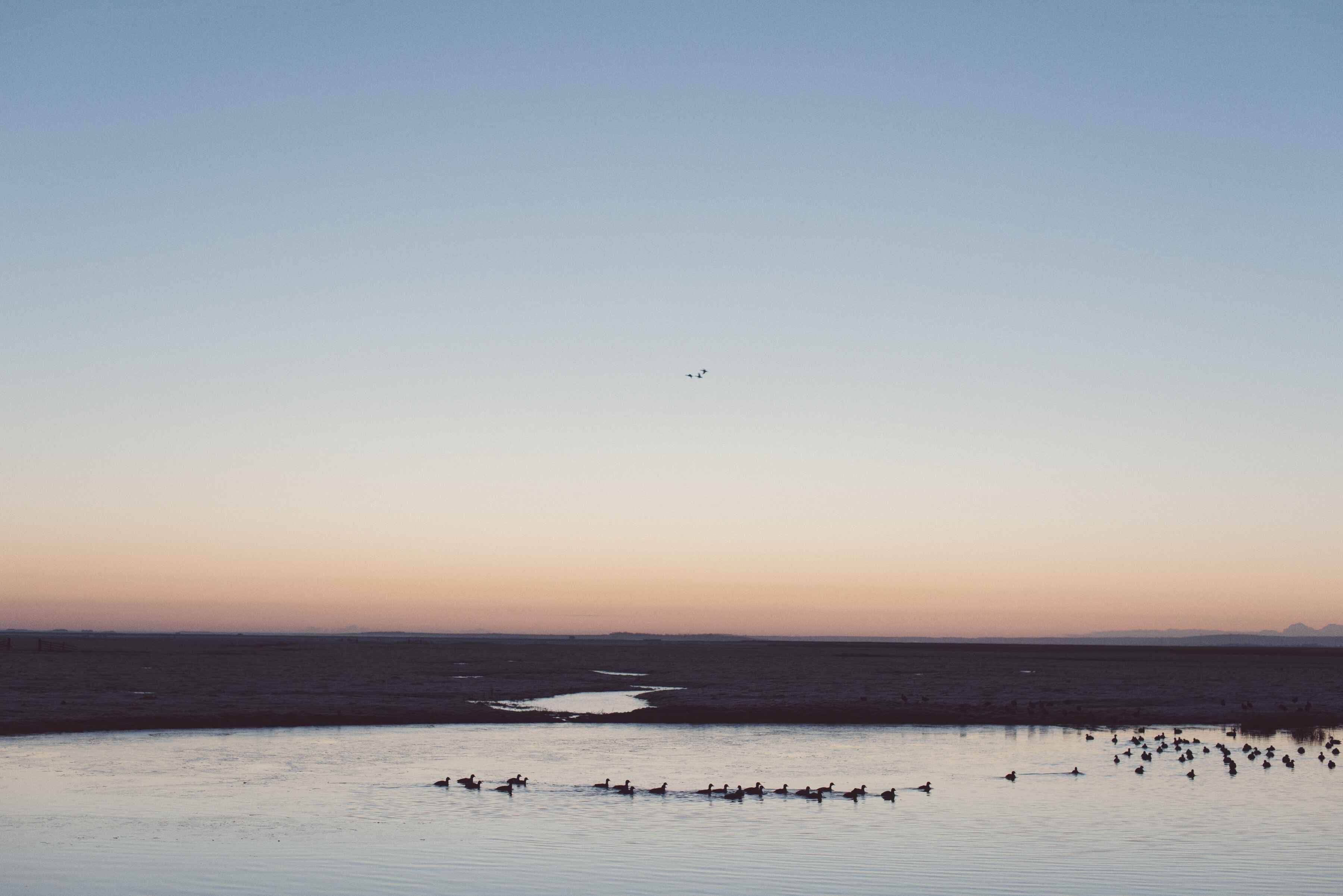 winter sunrise at elmley nature reserve