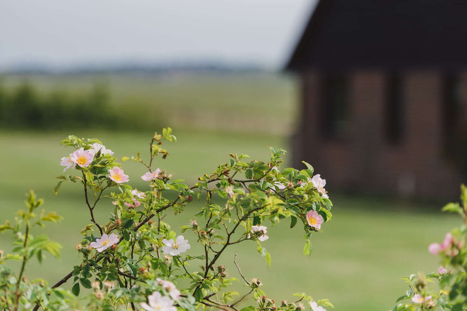 Exterior of Elmley Holiday Home