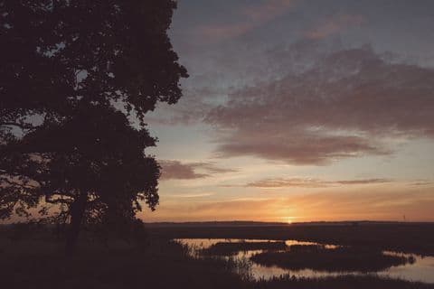 Elmley Nature Reserve