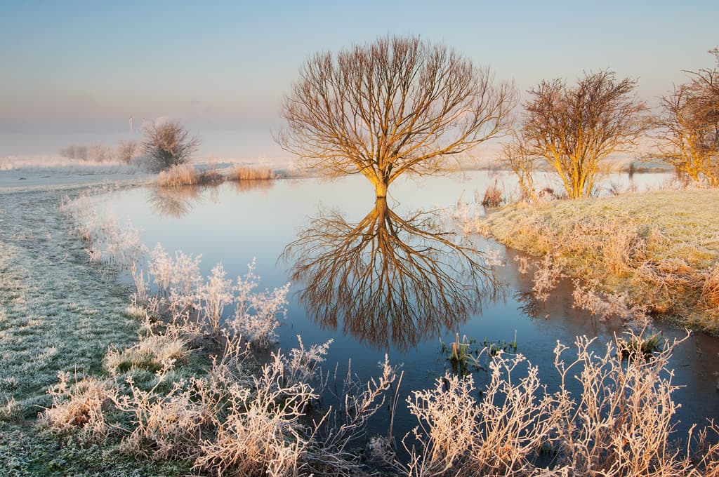 Christmas corporate event venue in Kent
