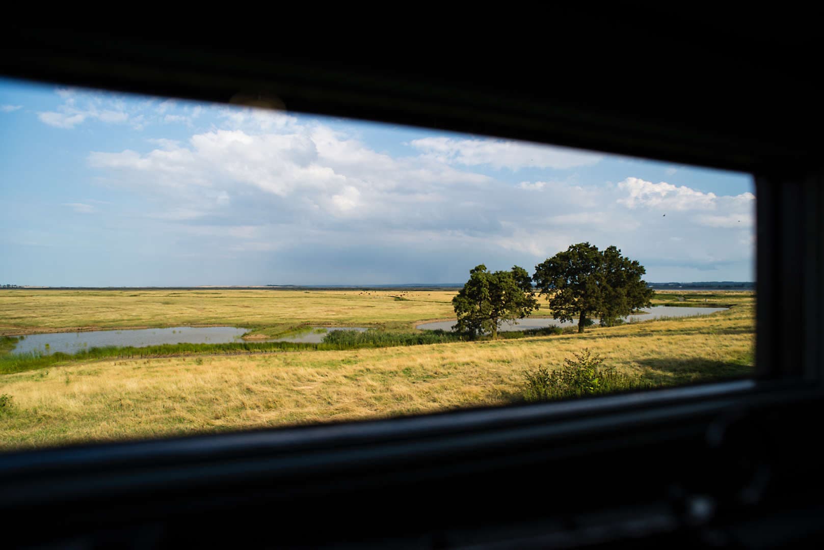 View from the shower in Vanellus Shepherd's Hut