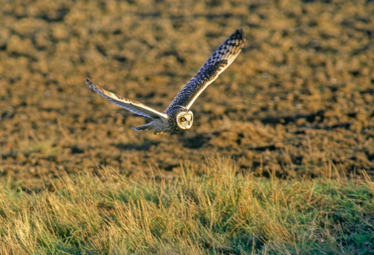 Corporate event venue near London