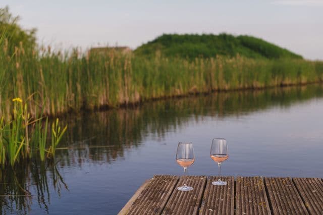 Spring evenings in nature