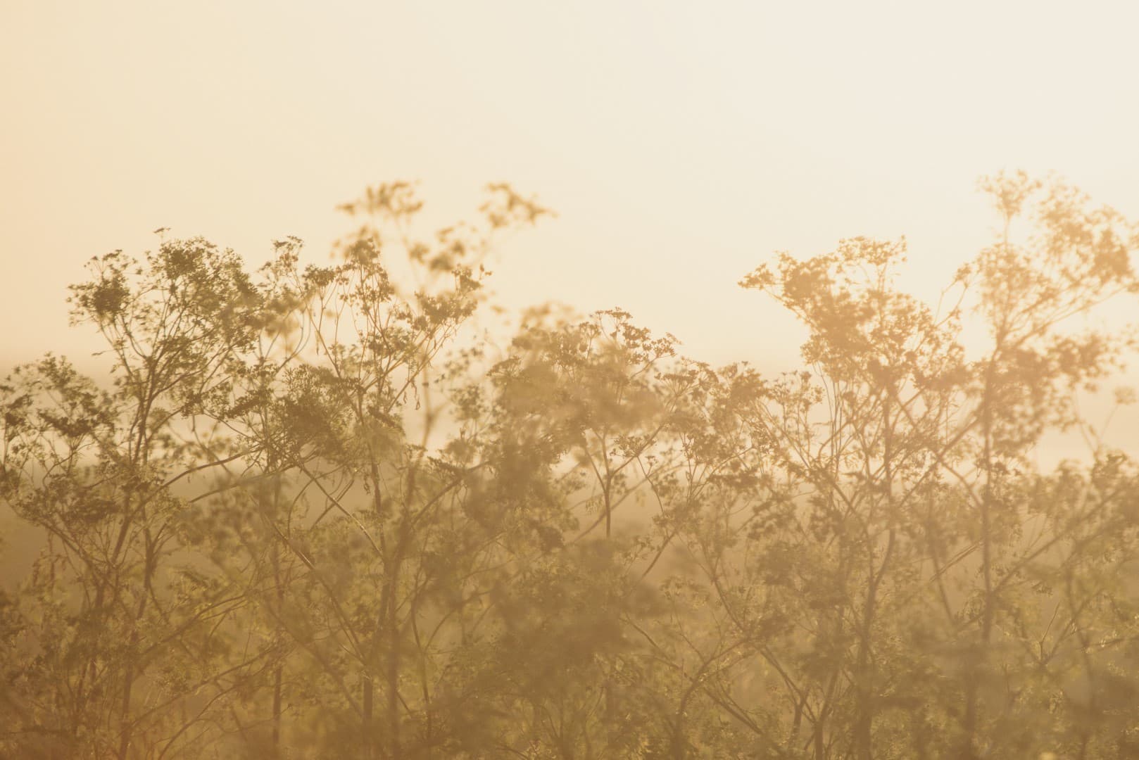 Elmley Nature Reserve Wellbeing Retreat