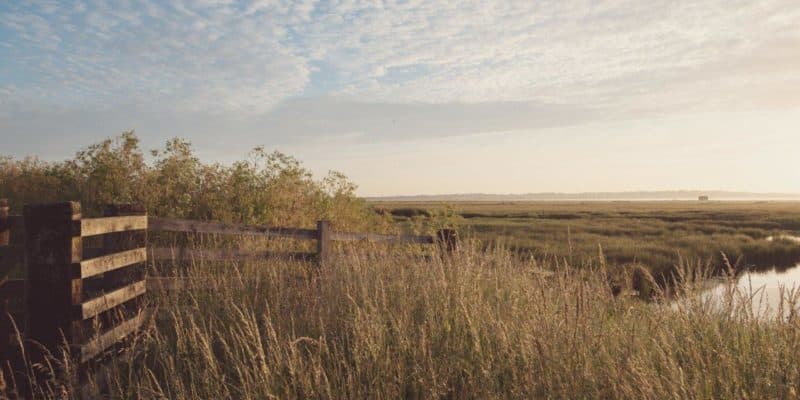 Elmley Nature Reserve Sunrise