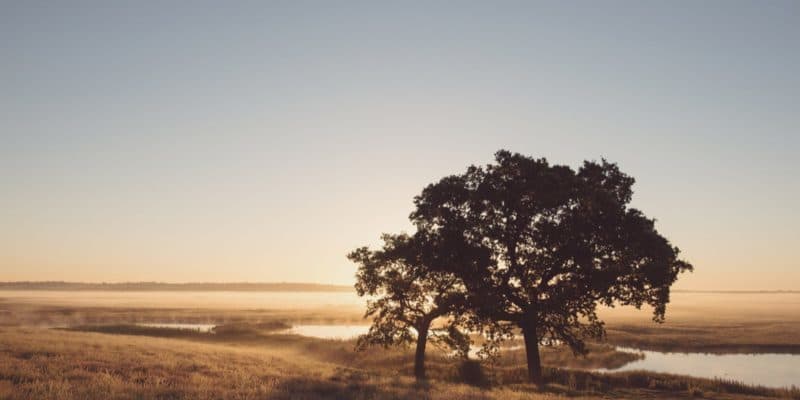 Elmley Nature Reserve Sunrise