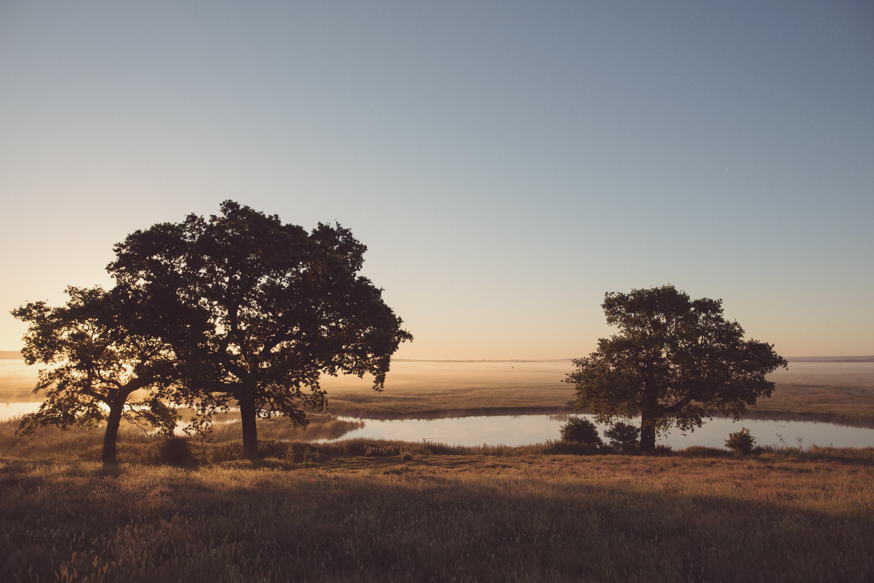 Elmley Nature Reserve Sunrise