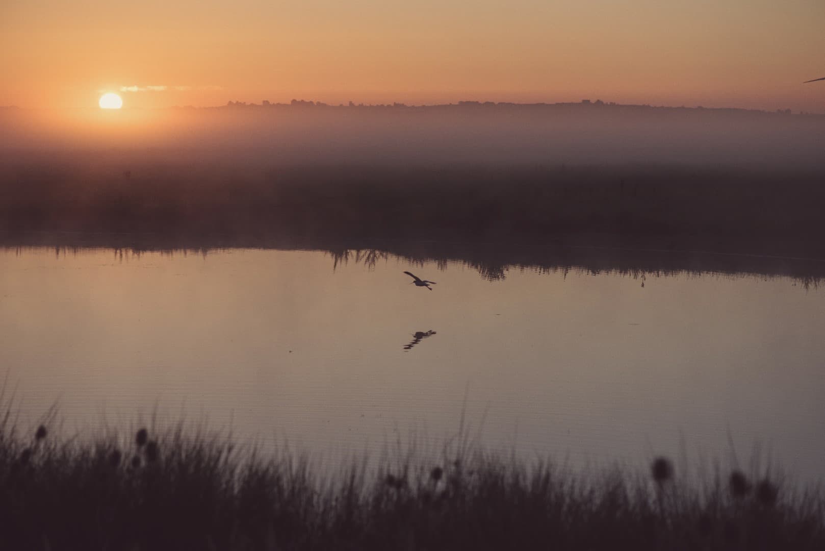 Elmley Nature Reserve Sunrise