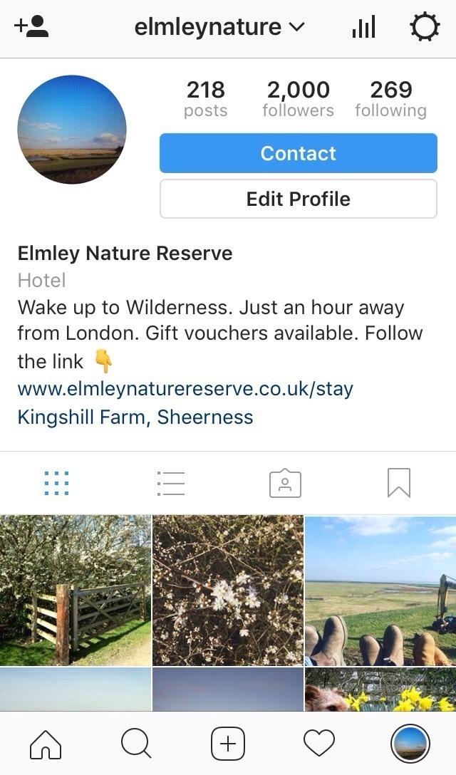 Elmley Instagram profile