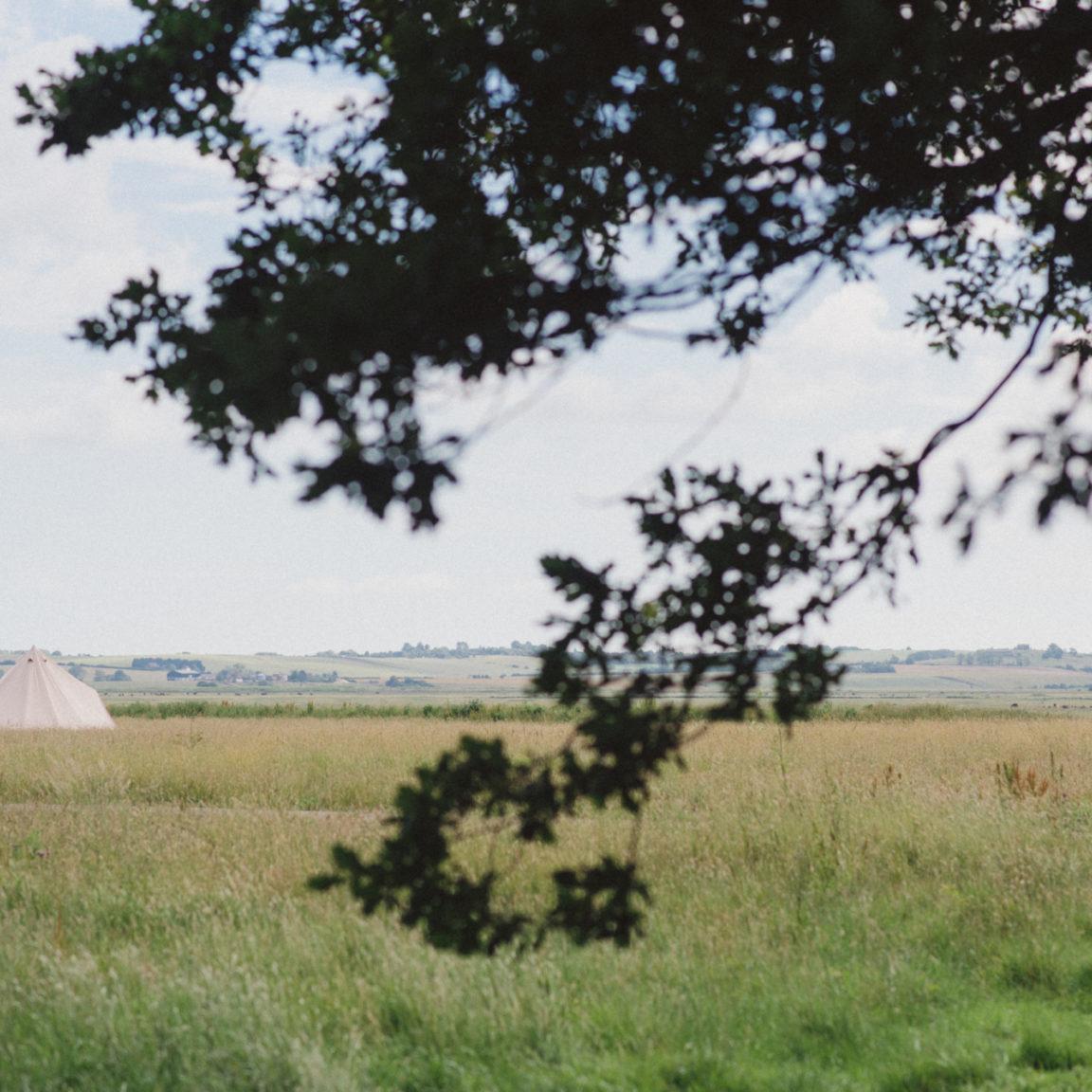meadow glamping bell tent at Elmley Nature Reserve
